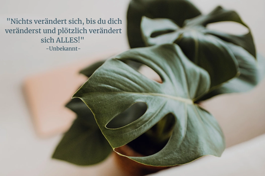 Veränderung,Nervensystem, Hashimoto, Kontakt, Blessyourhealth, Diana Kalmbach