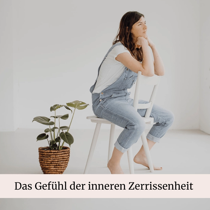 Blessyourhealth 3 Blog, Innere Zerrissenheit, Nervensystem, Dualität, Emotionen, Gefühle