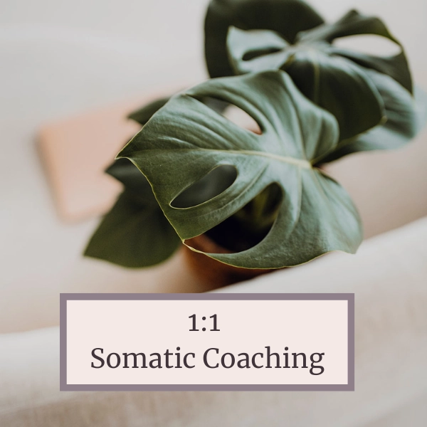 Arbeite mit mir 1 somatic coaching, somatisches Coaching, körperorientiertes Coaching, NESC